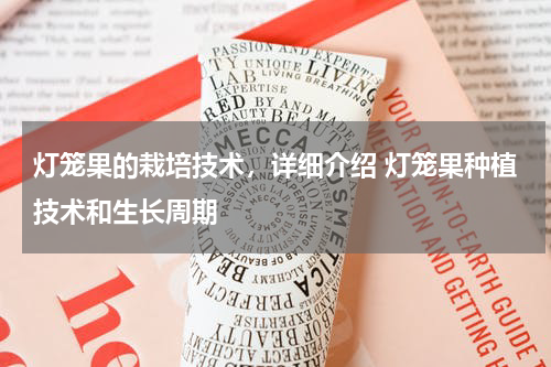 灯笼果的栽培技术，详细介绍 灯笼果种植技术和生长周期