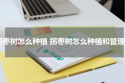 拐枣树怎么种植 拐枣树怎么种植和管理