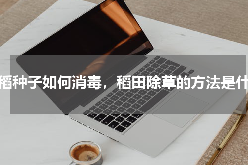 早稻种子如何消毒，稻田除草的方法是什么
