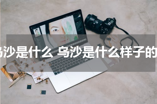 乌沙是什么 乌沙是什么样子的
