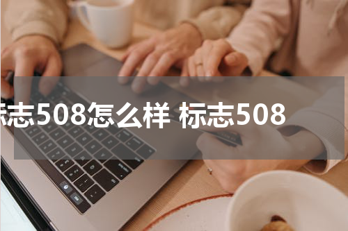 标志508怎么样 标志508