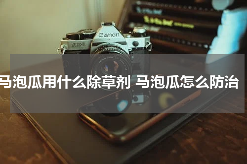 马泡瓜用什么除草剂 马泡瓜怎么防治