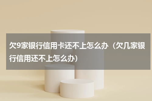 欠9家银行信用卡还不上怎么办（欠几家银行信用还不上怎么办）