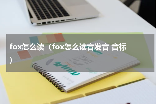 fox怎么读（fox怎么读音发音 音标）