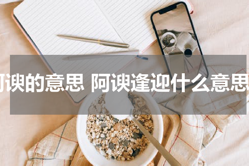 阿谀的意思 阿谀逢迎什么意思