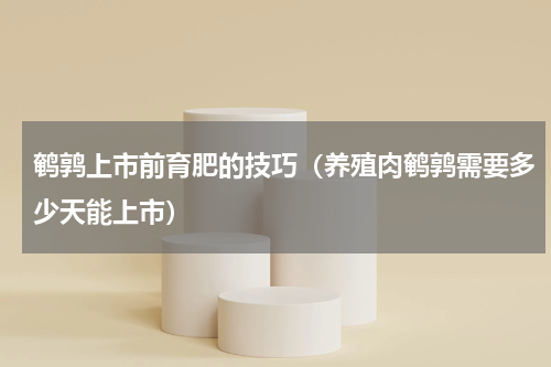 鹌鹑上市前育肥的技巧（养殖肉鹌鹑需要多少天能上市）