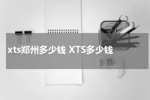 xts郑州多少钱 XTS多少钱