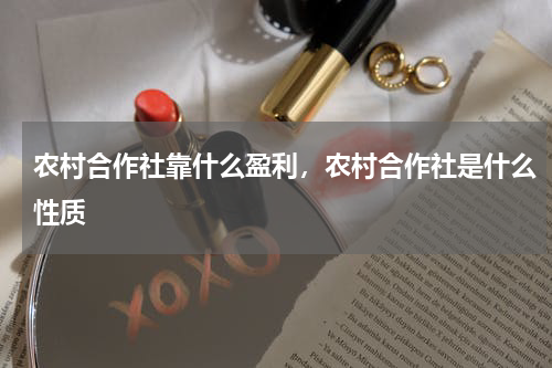 农村合作社靠什么盈利，农村合作社是什么性质