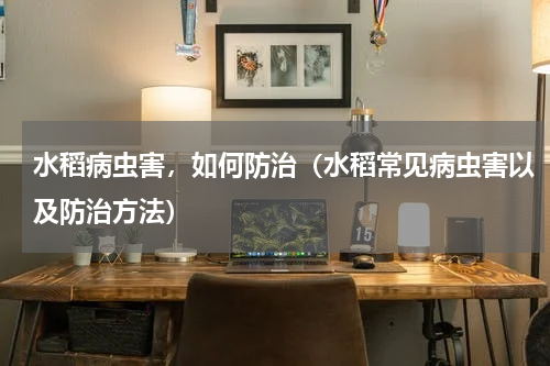 水稻病虫害，如何防治（水稻常见病虫害以及防治方法）