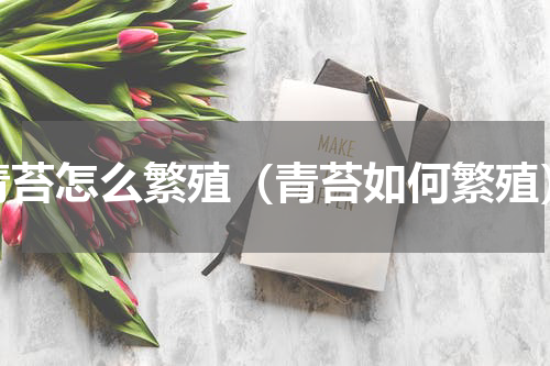 青苔怎么繁殖（青苔如何繁殖）