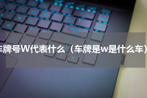 车牌号W代表什么（车牌是w是什么车）