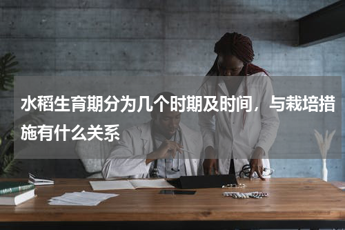 水稻生育期分为几个时期及时间，与栽培措施有什么关系