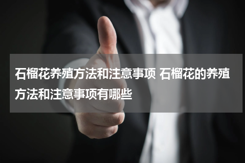 石榴花养殖方法和注意事项 石榴花的养殖方法和注意事项有哪些