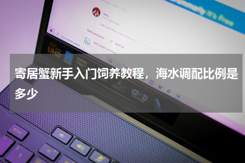 寄居蟹新手入门饲养教程，海水调配比例是多少