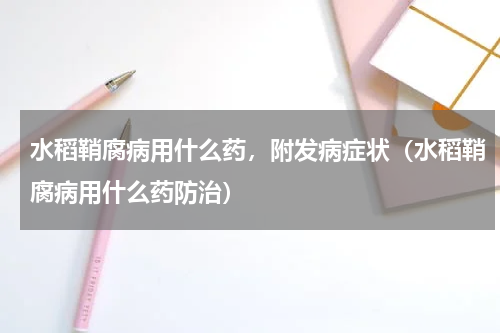 水稻鞘腐病用什么药，附发病症状（水稻鞘腐病用什么药防治）