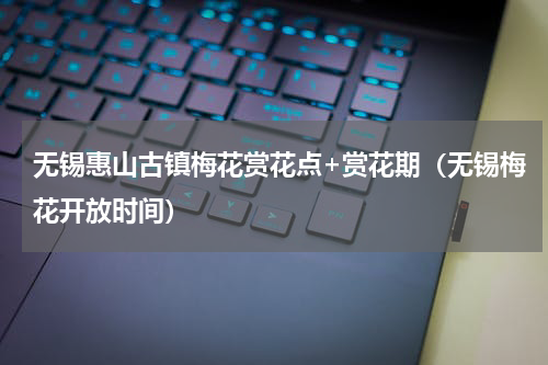 无锡惠山古镇梅花赏花点+赏花期（无锡梅花开放时间）