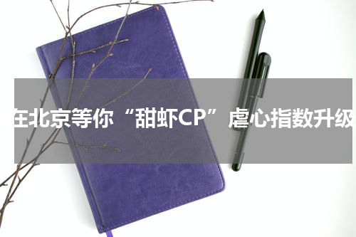我在北京等你“甜虾CP”虐心指数升级