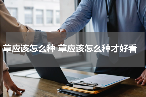 草应该怎么种 草应该怎么种才好看