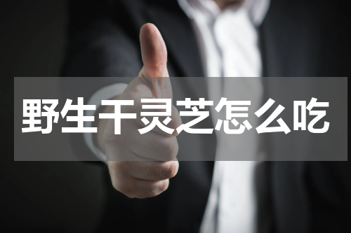 野生干灵芝怎么吃