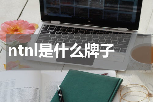 ntnl是什么牌子