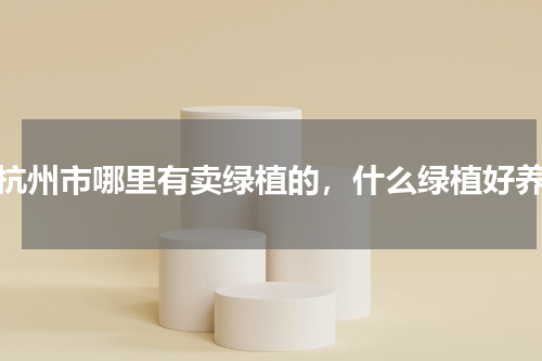 杭州市哪里有卖绿植的，什么绿植好养