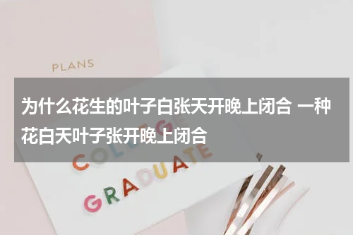为什么花生的叶子白张天开晚上闭合 一种花白天叶子张开晚上闭合