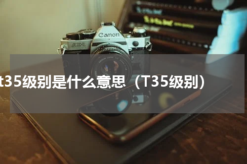 t35级别是什么意思（T35级别）