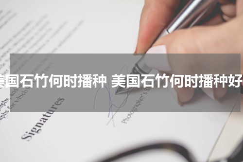 美国石竹何时播种 美国石竹何时播种好