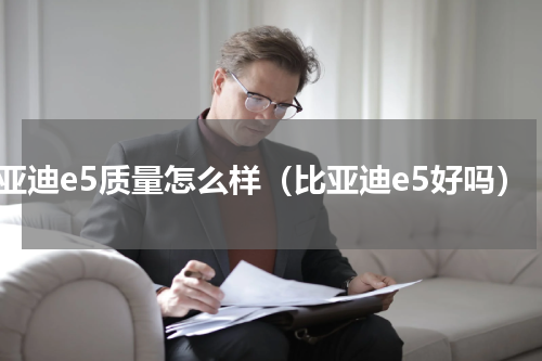 比亚迪e5质量怎么样（比亚迪e5好吗）