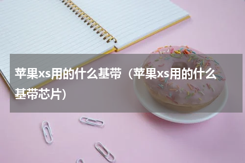 苹果xs用的什么基带（苹果xs用的什么基带芯片）