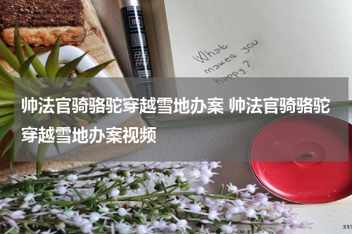 帅法官骑骆驼穿越雪地办案 帅法官骑骆驼穿越雪地办案视频