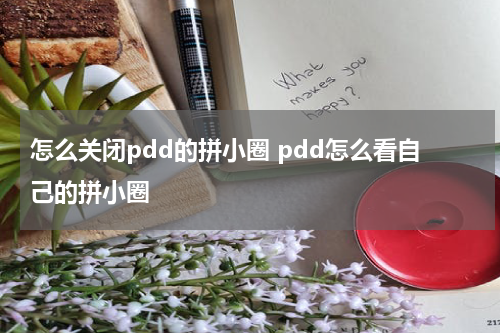 怎么关闭pdd的拼小圈 pdd怎么看自己的拼小圈