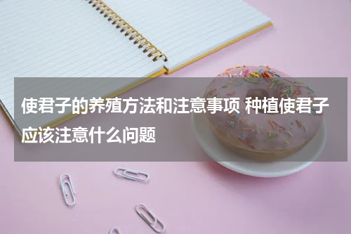 使君子的养殖方法和注意事项 种植使君子应该注意什么问题