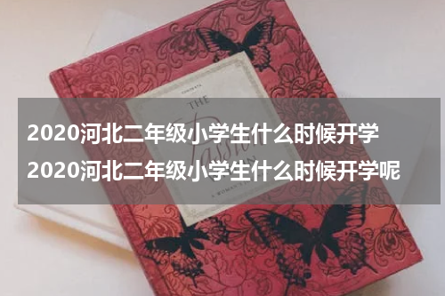 2020河北二年级小学生什么时候开学 2020河北二年级小学生什么时候开学呢