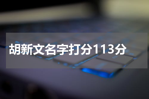 胡新文名字打分113分