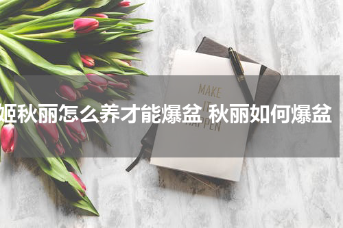 姬秋丽怎么养才能爆盆 秋丽如何爆盆
