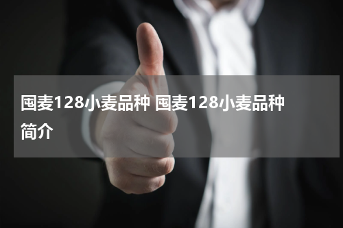 囤麦128小麦品种 囤麦128小麦品种简介