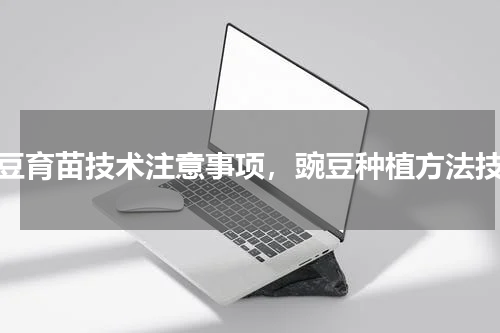 豌豆育苗技术注意事项，豌豆种植方法技巧