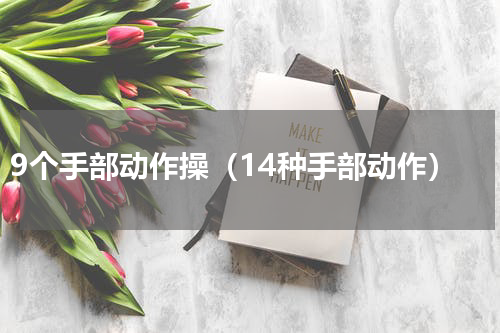 9个手部动作操（14种手部动作）