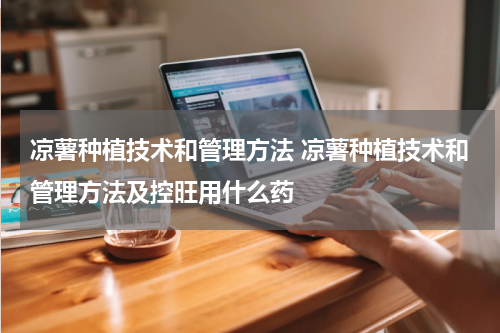 凉薯种植技术和管理方法 凉薯种植技术和管理方法及控旺用什么药