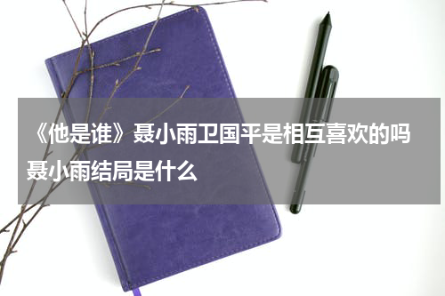 《他是谁》聂小雨卫国平是相互喜欢的吗 聂小雨结局是什么
