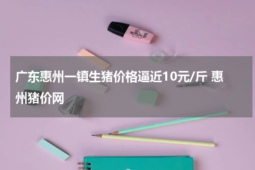 广东惠州一镇生猪价格逼近10元/斤 惠州猪价网