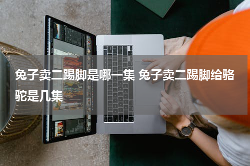 兔子卖二踢脚是哪一集 兔子卖二踢脚给骆驼是几集