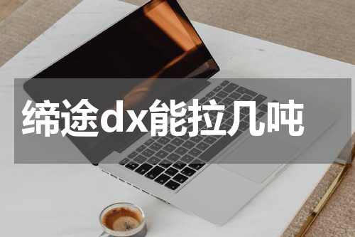 缔途dx能拉几吨