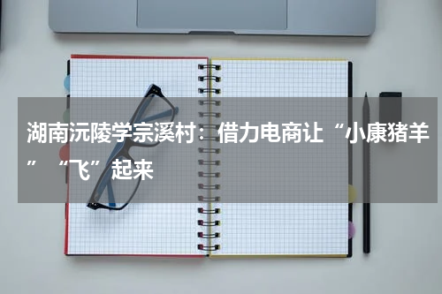 湖南沅陵学宗溪村：借力电商让“小康猪羊”“飞”起来