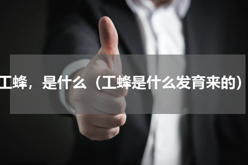 工蜂，是什么（工蜂是什么发育来的）