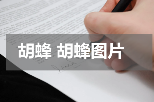 胡蜂 胡蜂图片