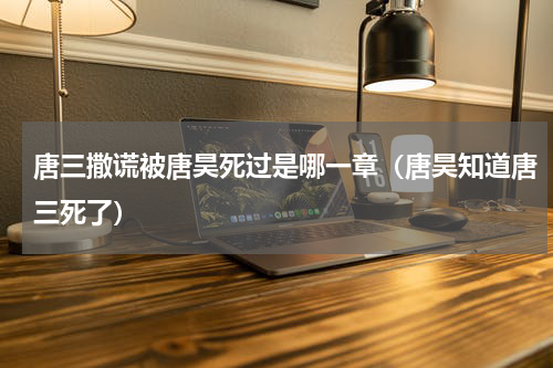 唐三撒谎被唐昊死过是哪一章（唐昊知道唐三死了）