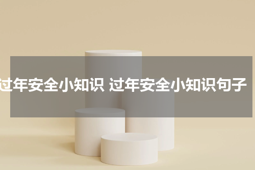 过年安全小知识 过年安全小知识句子