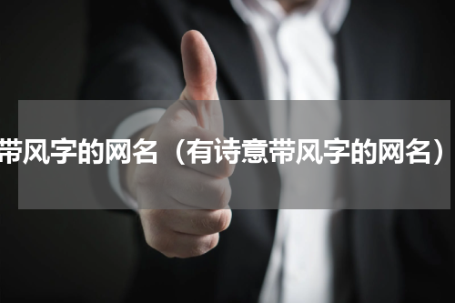 带风字的网名（有诗意带风字的网名）